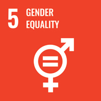 SDG logo