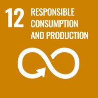 SDG logo