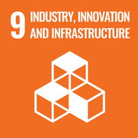 SDG logo