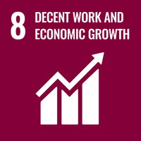 SDG logo